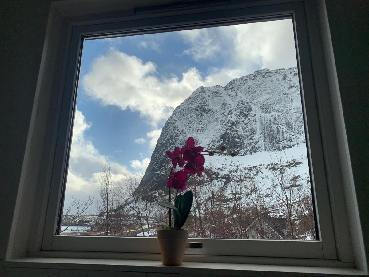 Lofoten Apartment *